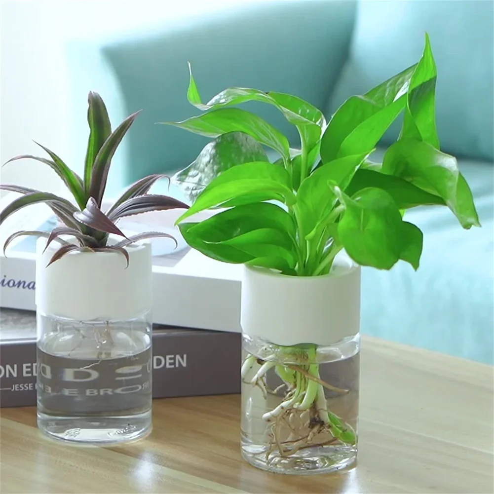 Hydroponic Grow Pod - Mini pot de fleurs hydroponique transparent,