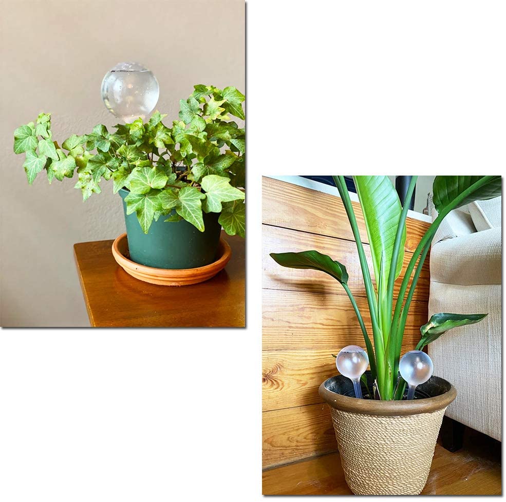 Distributeur automatique d'eau - Indoor Garden Kit avis et prix