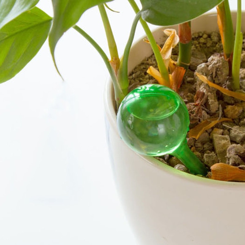 Distributeur automatique d'eau - Indoor Garden Kit avis et prix
