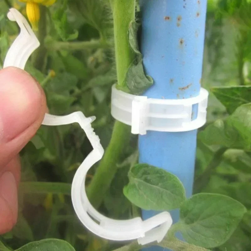 Clips de support pour plantes  - Smart Garden Kit avis et prix