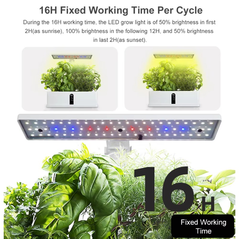 Système de culture hydroponiqu - Smart Garden Kit avis et prix