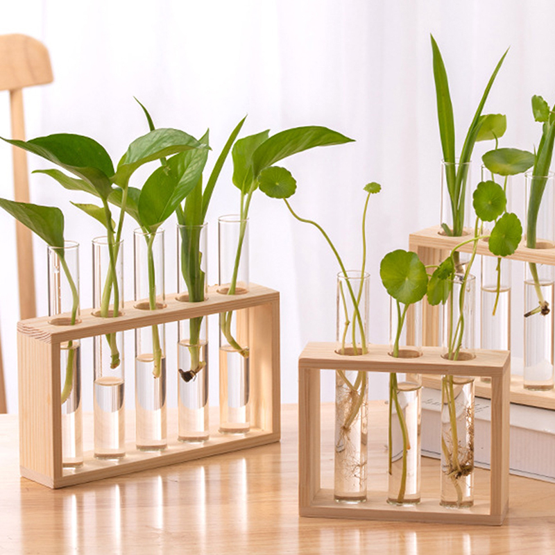 Conteneur de plantes hydroponi - Hydroponic Grow Pod avis et prix