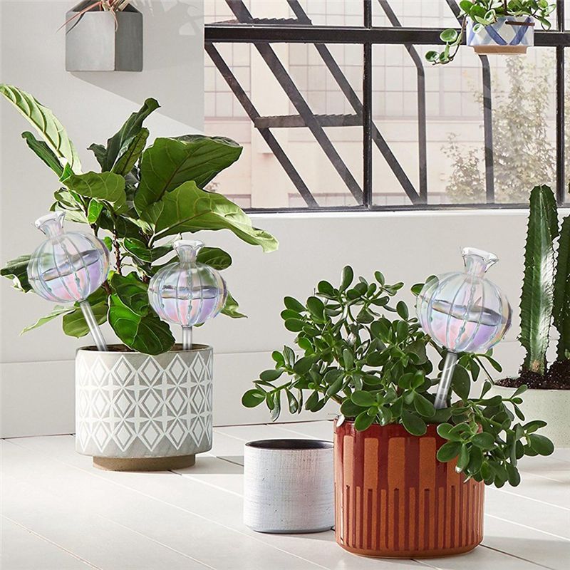 AA94 – Ampoules d’arrosage pou - Self Watering Planter avis et prix